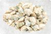 Frozen Clams