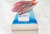 Frozen  Surimi