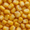 Frozen Sweet Corn IQF ...