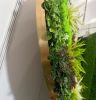 artificial plant panel...