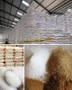 White Sugar, Crystal S...
