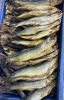 smoked split herring