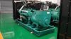 diesel generators sets