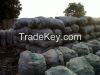 Hardwood Black Charcoal