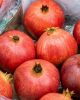 Wonderful Pomegranates