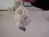 white garlic, normal g...