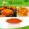 Factory supply Lutein,Marigold extract,colorant