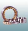 Cylindrical Roller Bearings