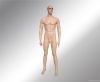 Realistic Male mannequin