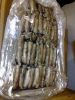 frozen cuttlefish - frozen Indian mackerel