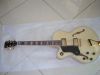 Electric Jazz Guitar