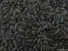 New Crop Sunflower Seeds Suppliers | Sunflower Seed Exporters, | Sunflower Black Seed  | Striped Black Seed | Flowers Seed | Sunflower Kernels