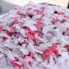 LDPE Bales/Lumps/Regrind