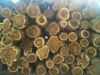 Plantation Teak Logs