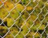 chain link fence (wire...