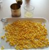 Canned Sweet Corn