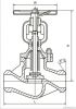 globe valve