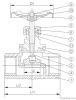 200PSI Stainless Steel Threaded Globe Valve