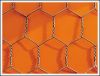 Hexagonal Wire Netting