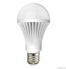 9W LED Bulb