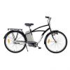 simple electric bicycl...