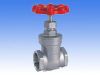 balve valve