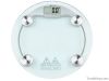 LED electronic body scale