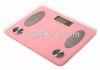 Digital body fat scale