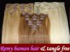 Clip In Remy Hair Exte...