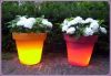 flower pot