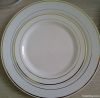 Disposable Dinner Plates