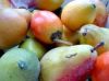 Fruit Concentrates&...