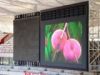 LED Display in Bird Ne...