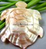 Shell Crafts