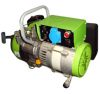 Biogas Generator