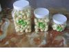 fresh  preserved garlic