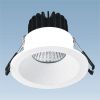 LED Ceiling Light