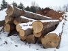 Veneer Logs (Hardwood)