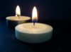 Palm Wax Tea Light Candle