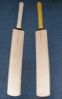 Plain english willow cricket bats