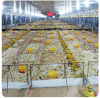 EC POULTRYHOUSE / EC Poultry Equipments