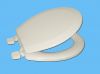 toilet seat