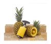 Stainless Steel Pineapple Slicer