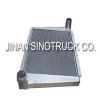 truck parts(howo INTER...