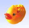 Bath Duck