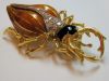 Insect Broach