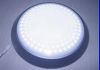 LED Ceiling Light