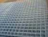 Galvanized Welded Wire Mesh