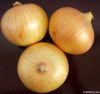 yellow onion