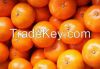 mandarin(kinnow)